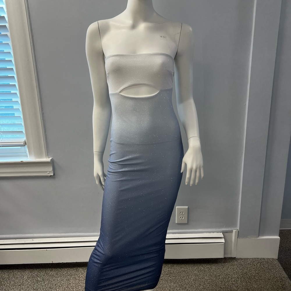 Tube Ombré Mini Dress